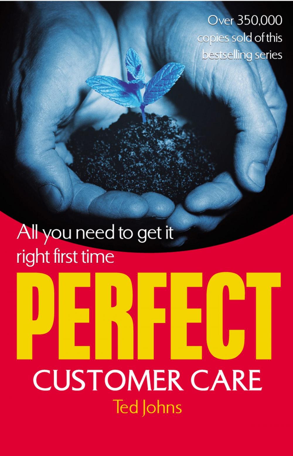 Big bigCover of Perfect Customer Care