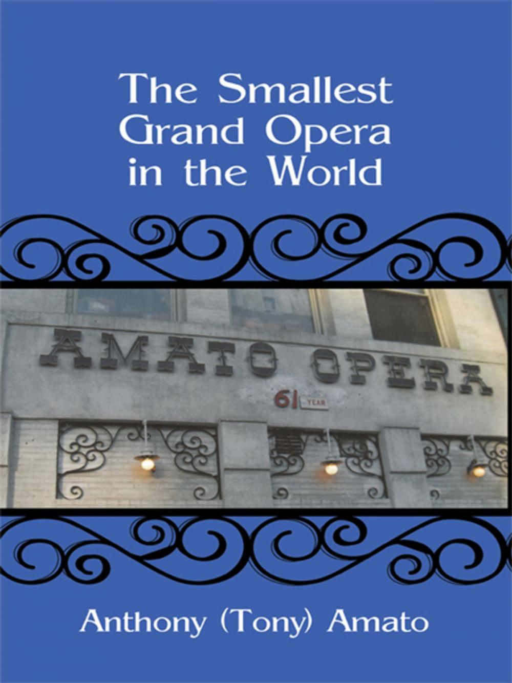 Big bigCover of The Smallest Grand Opera in the World