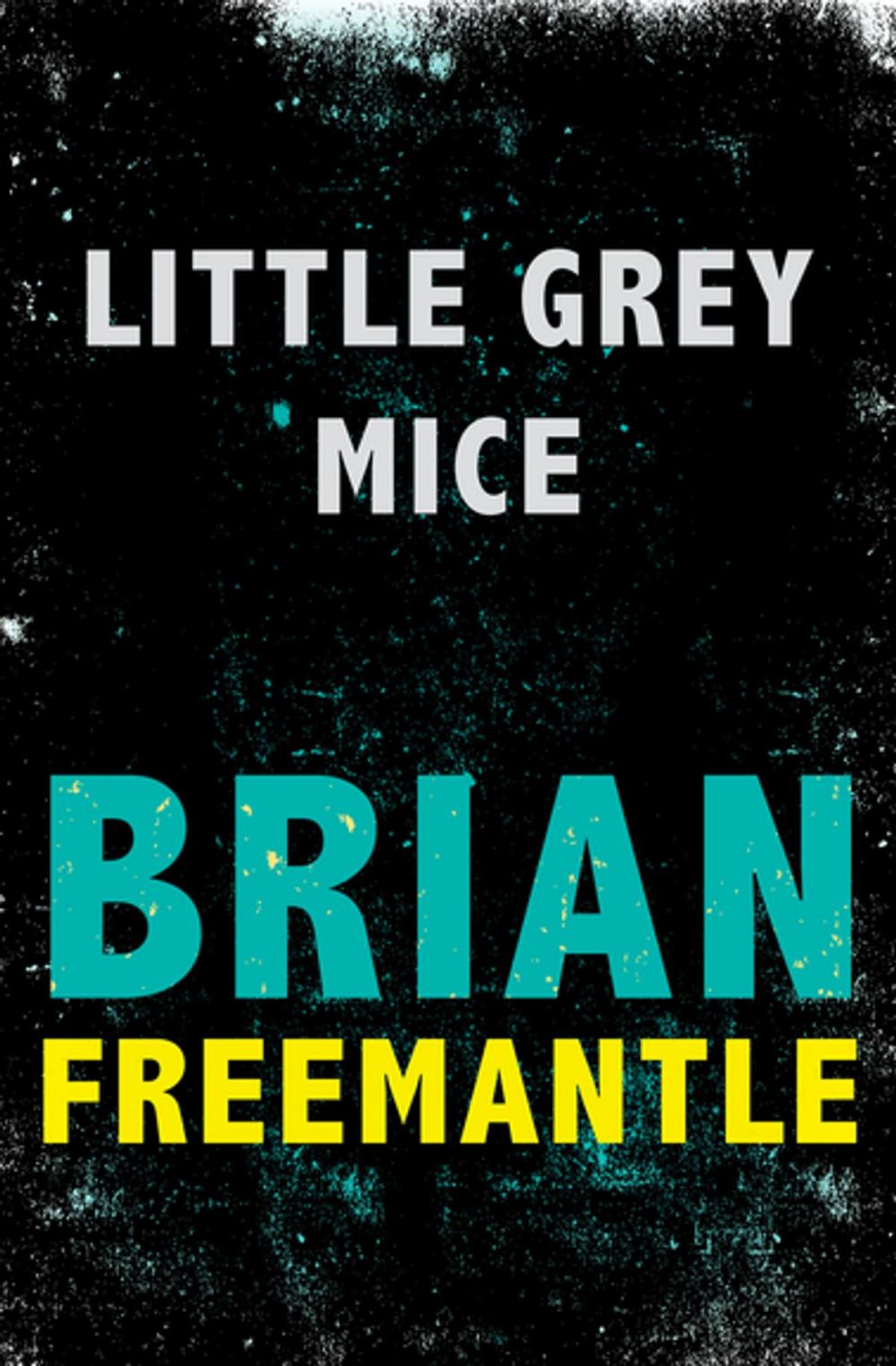 Big bigCover of Little Grey Mice