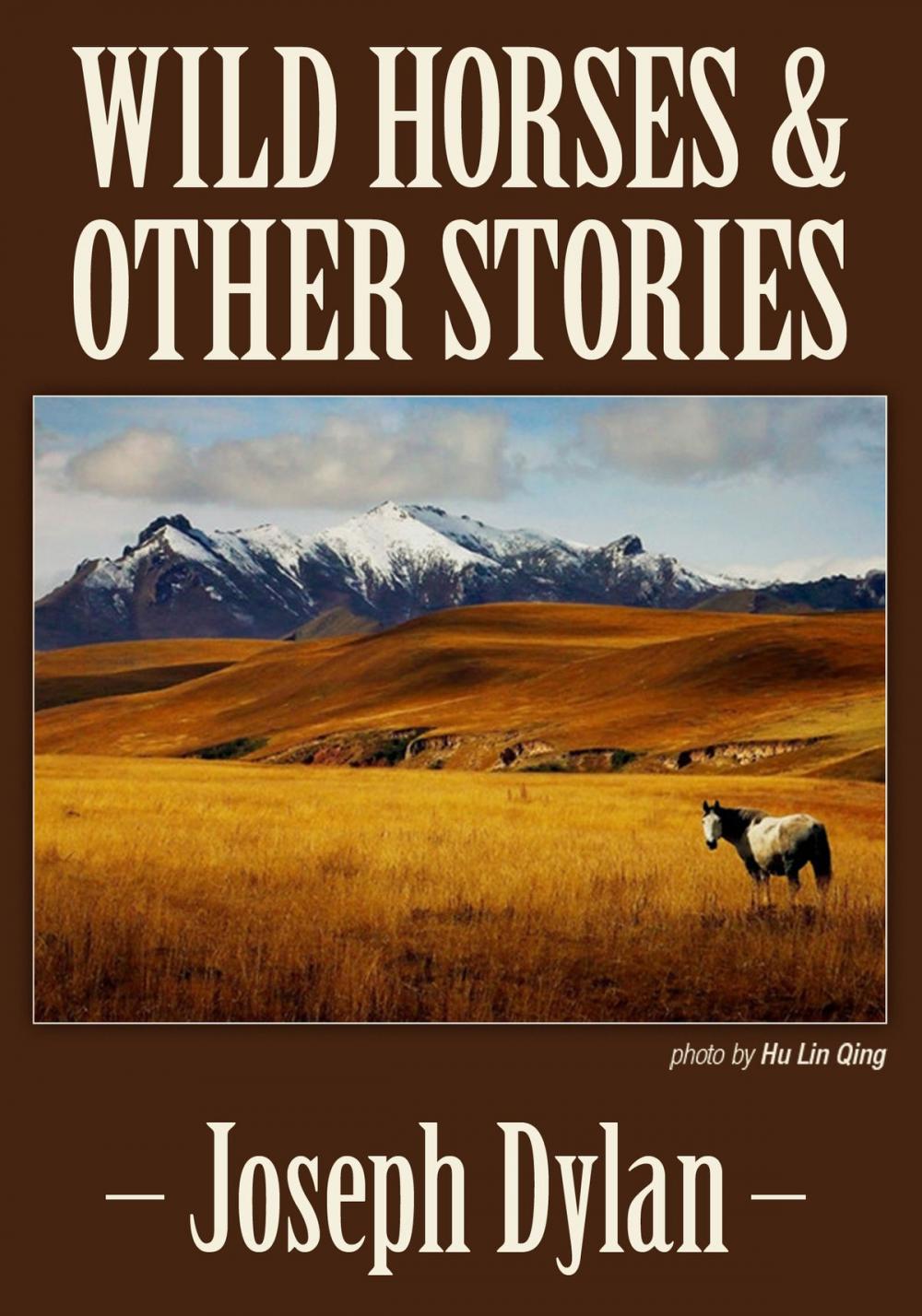 Big bigCover of Wild Horses and Other Stories