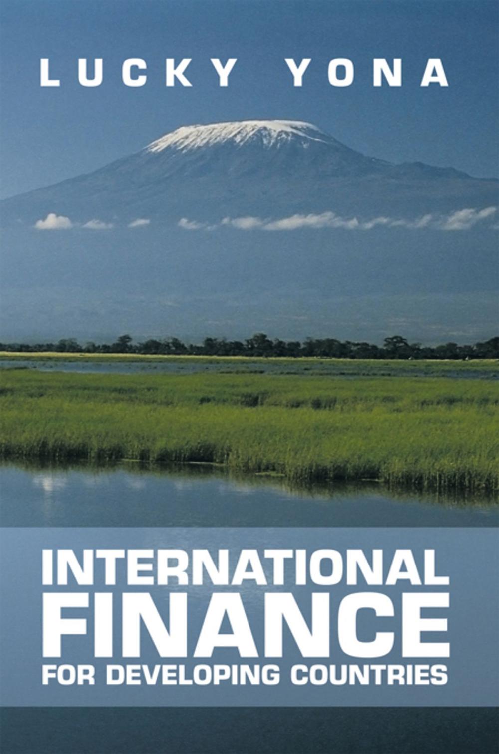 Big bigCover of International Finance for Developing Countries