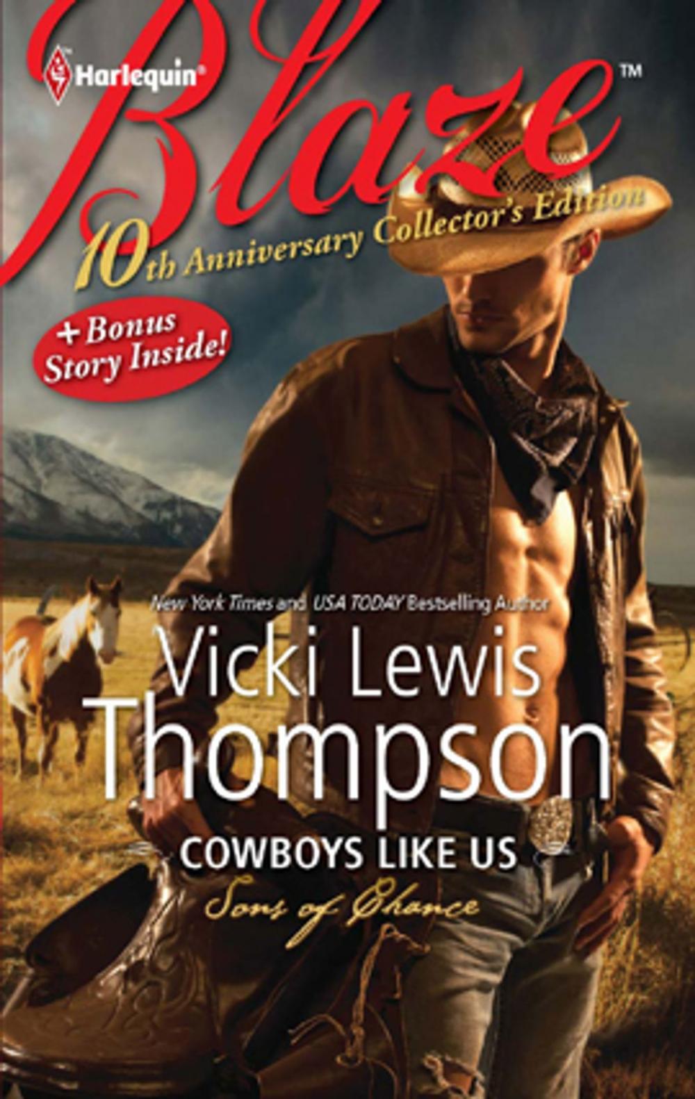 Big bigCover of 10th Anniversary Collector's Edition: Cowboys Like Us