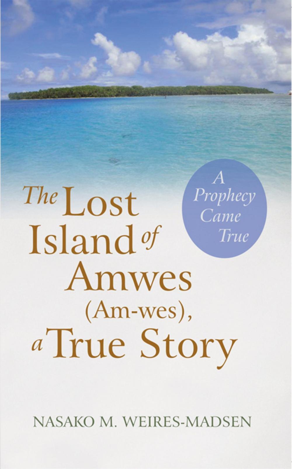 Big bigCover of The Lost Island of Amwes (Am-Wes), a True Story