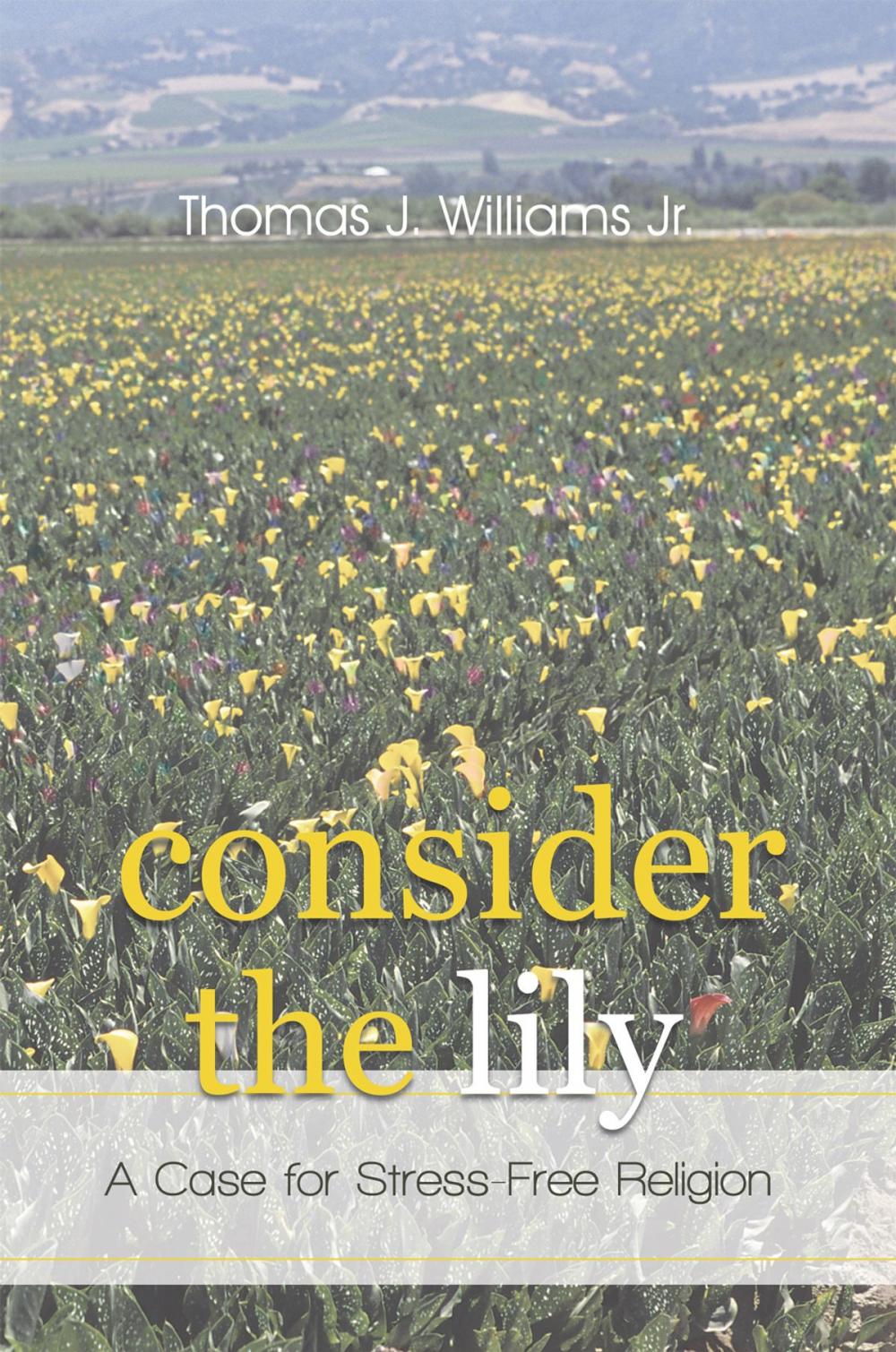 Big bigCover of Consider the Lily