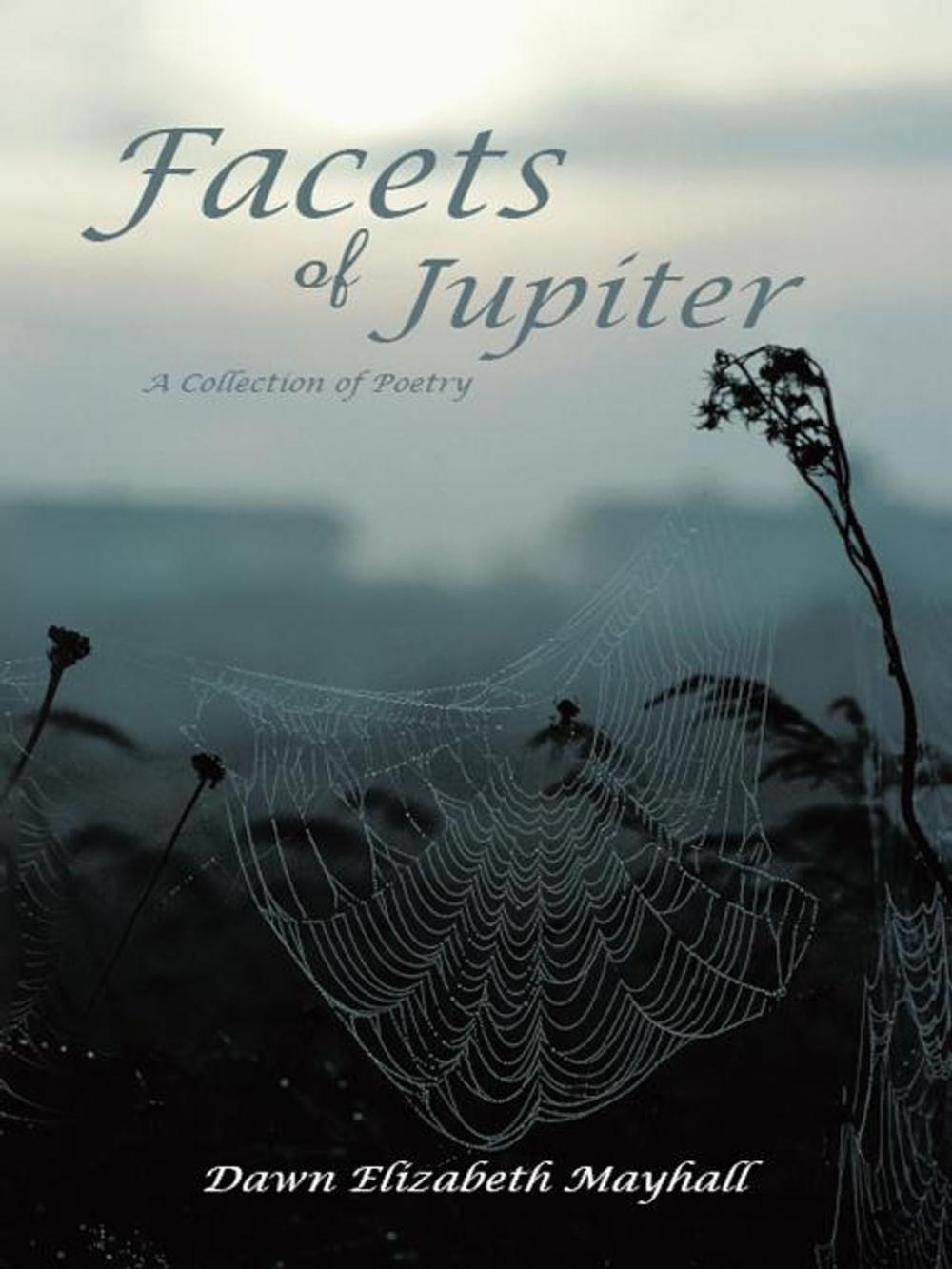 Big bigCover of Facets of Jupiter