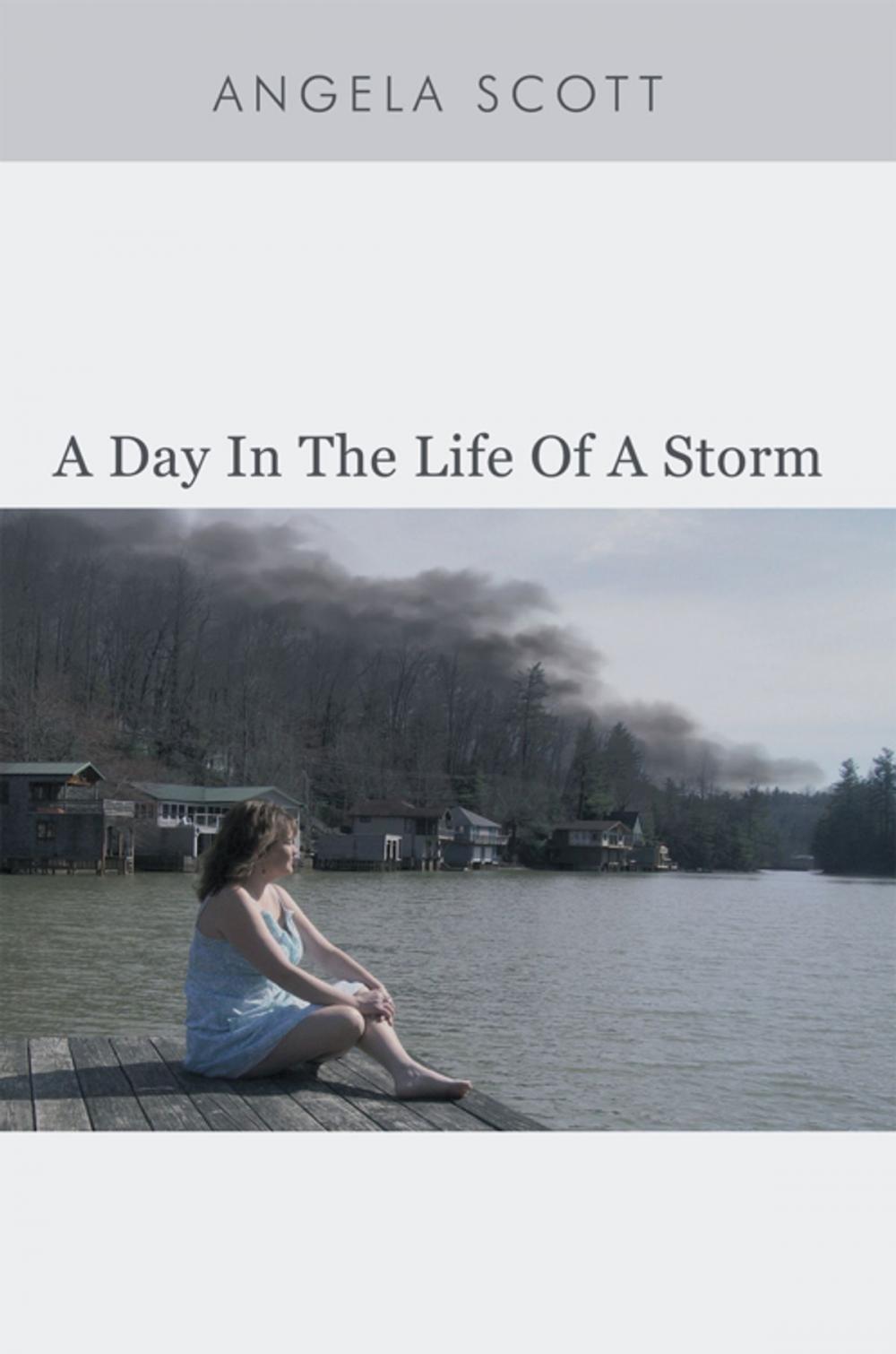 Big bigCover of A Day in the Life of a Storm