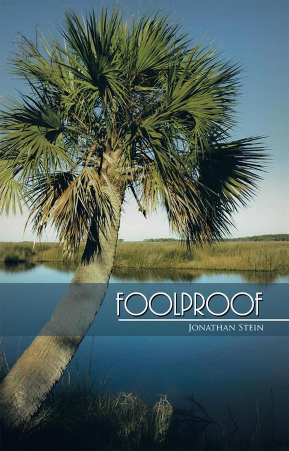 Big bigCover of Foolproof