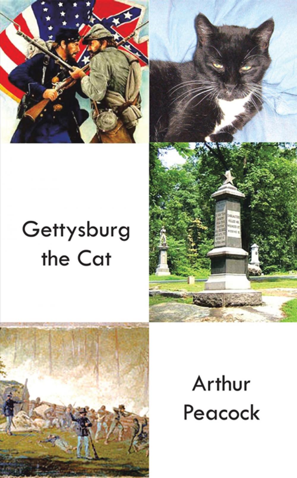 Big bigCover of Gettysburg the Cat