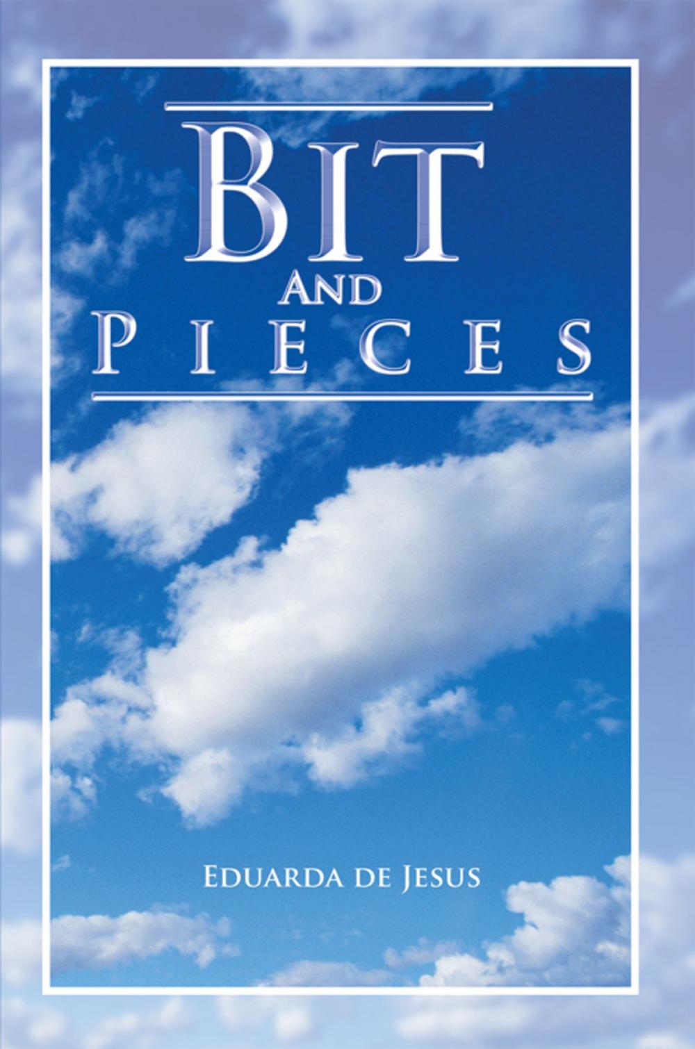 Big bigCover of Bit and Pieces