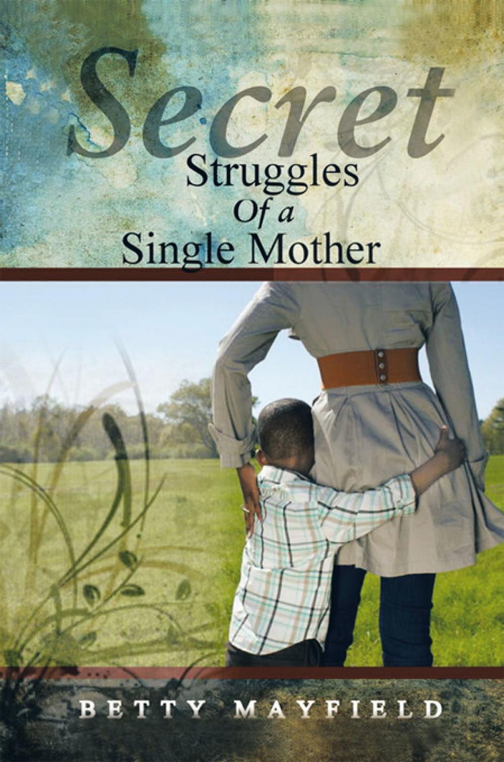 Big bigCover of Secret Struggles of a Single Mother