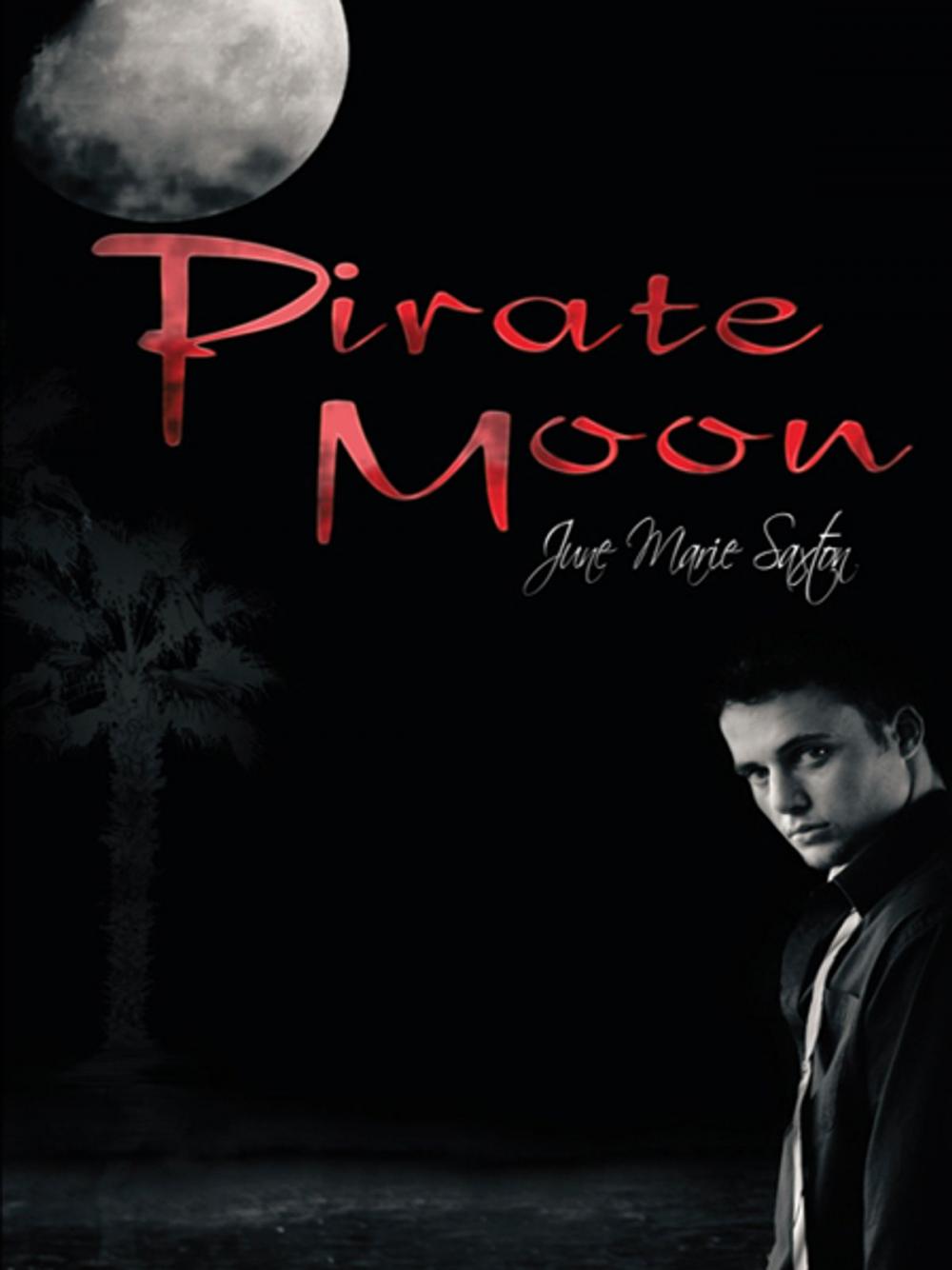 Big bigCover of Pirate Moon