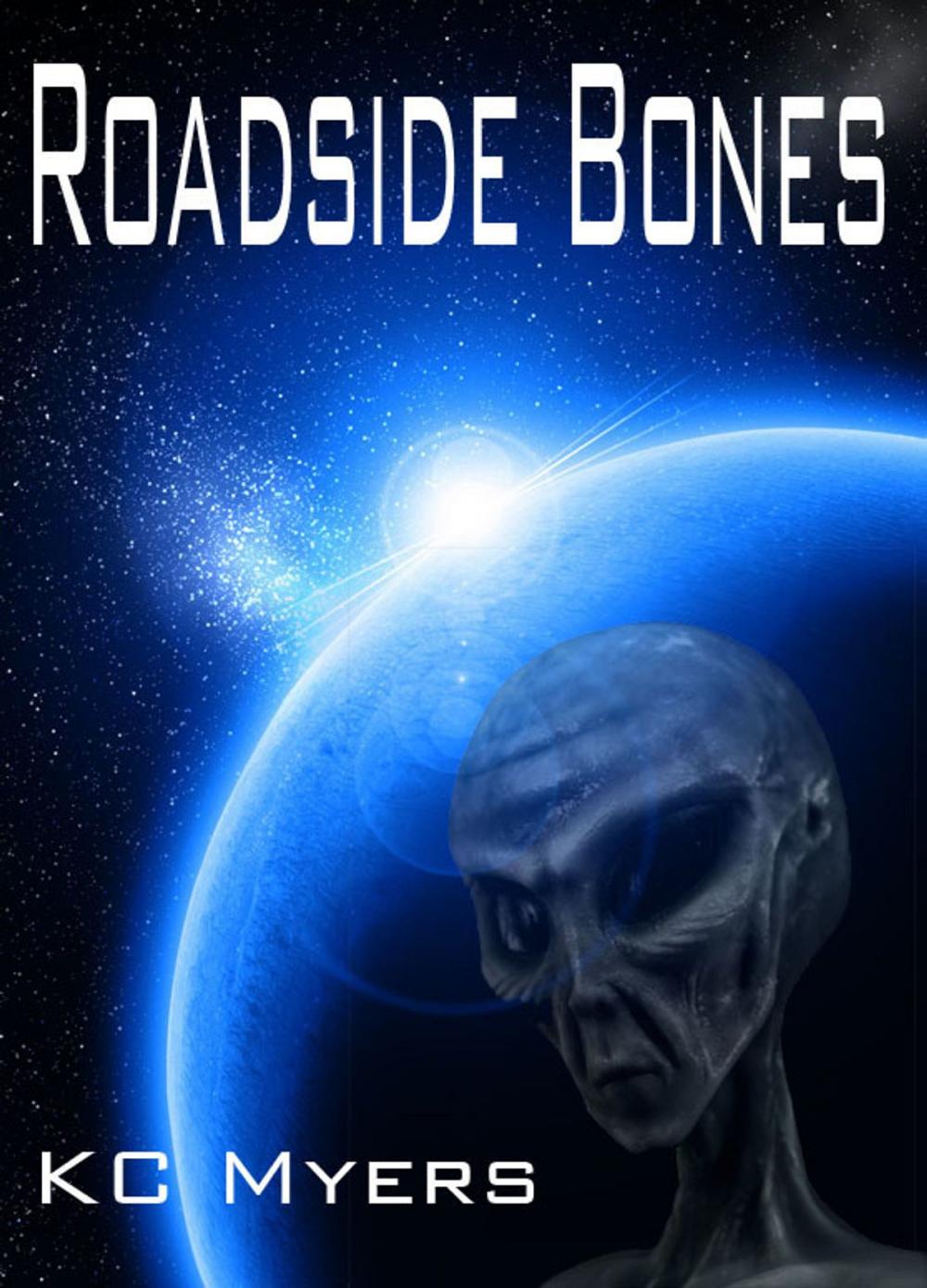 Big bigCover of Roadside Bones