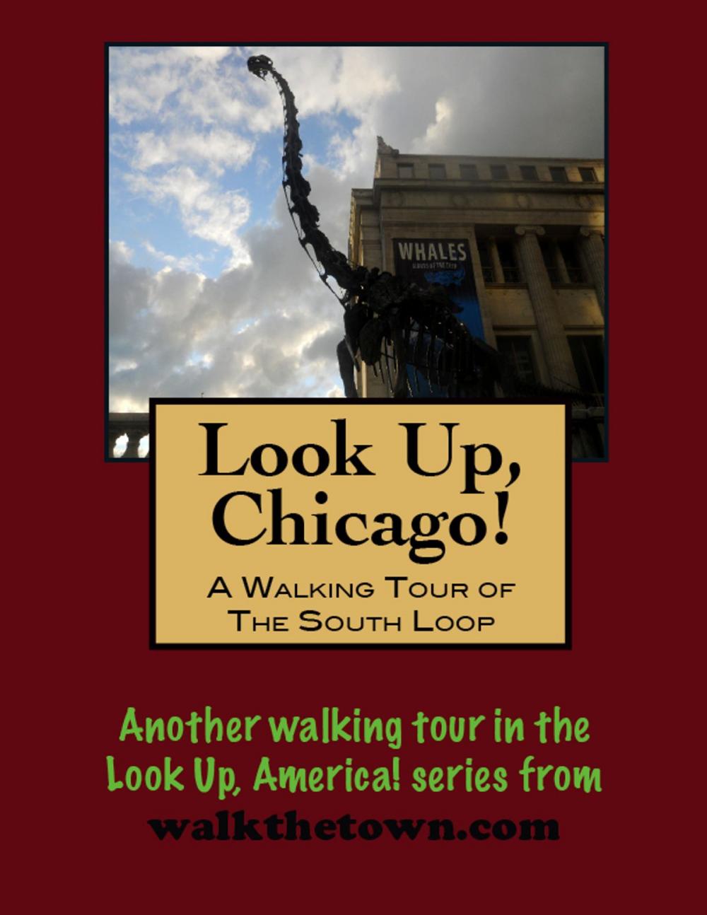 Big bigCover of Look Up, Chicago! A Walking Tour of The Loop (South End)