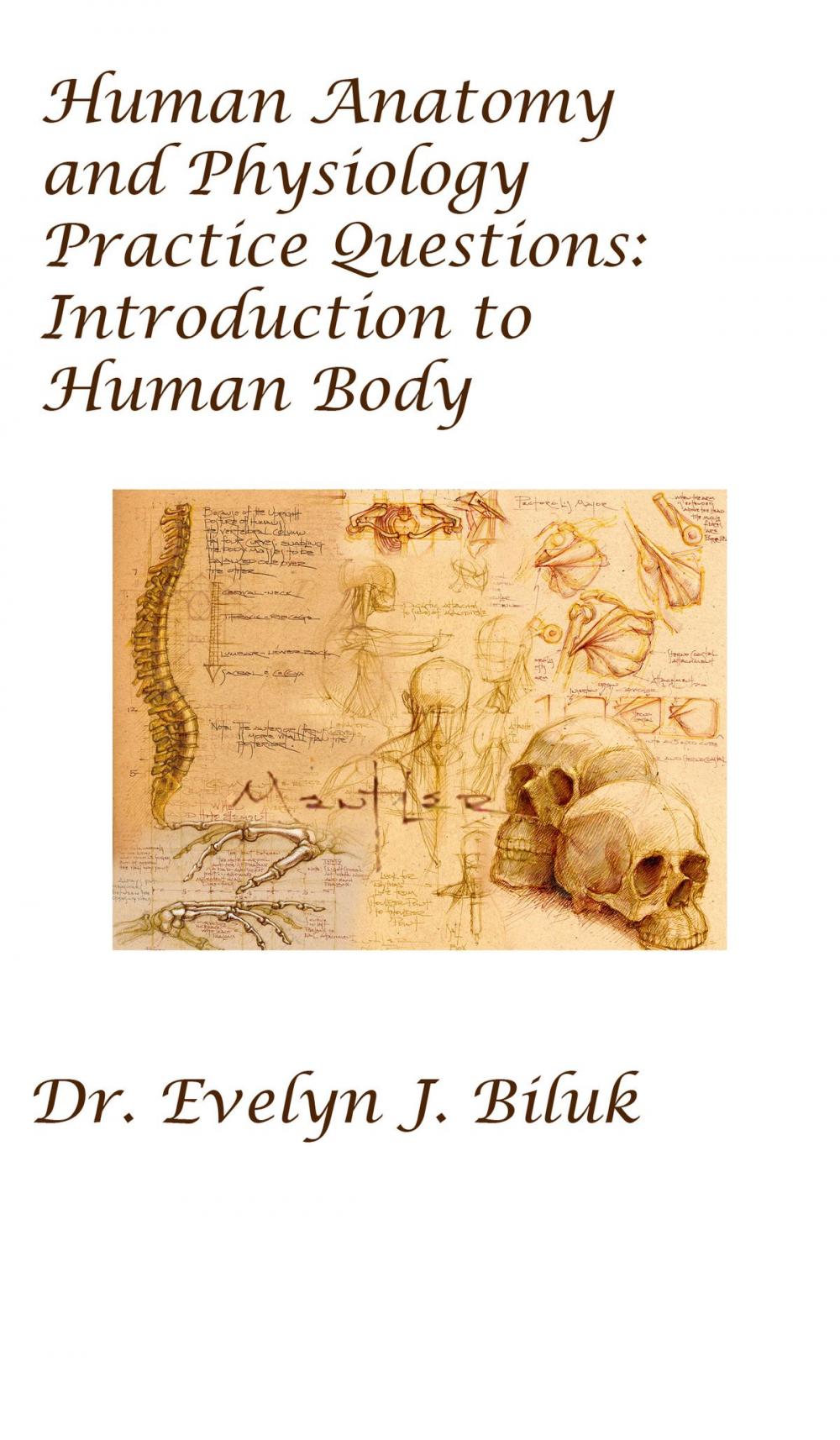 Big bigCover of Human Anatomy and Physiology Practice Questions: Introduction to Human Body