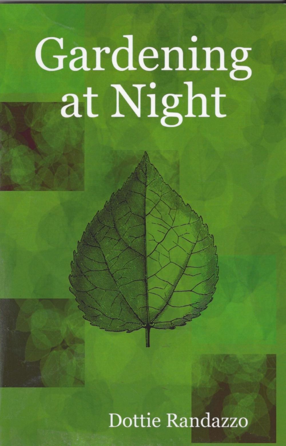 Big bigCover of Gardening at Night