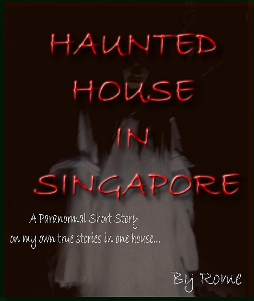 Big bigCover of Haunted House in Singapore: My True Story