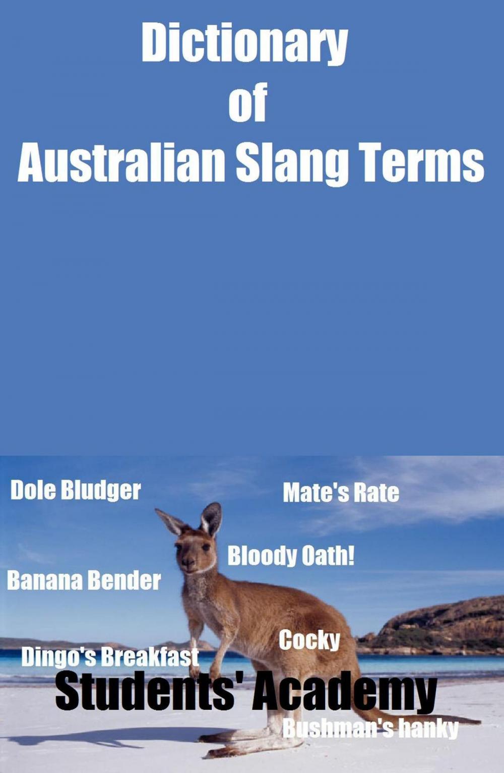 Big bigCover of Dictionary of Australian Slang Terms