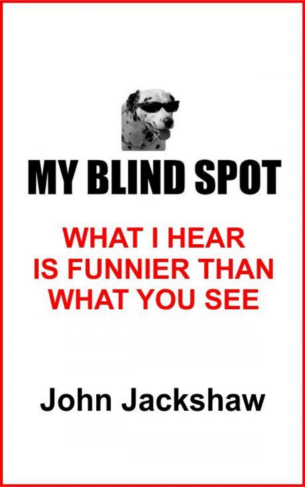 Big bigCover of My Blind Spot; What I Hear Is Funnier Than What You See