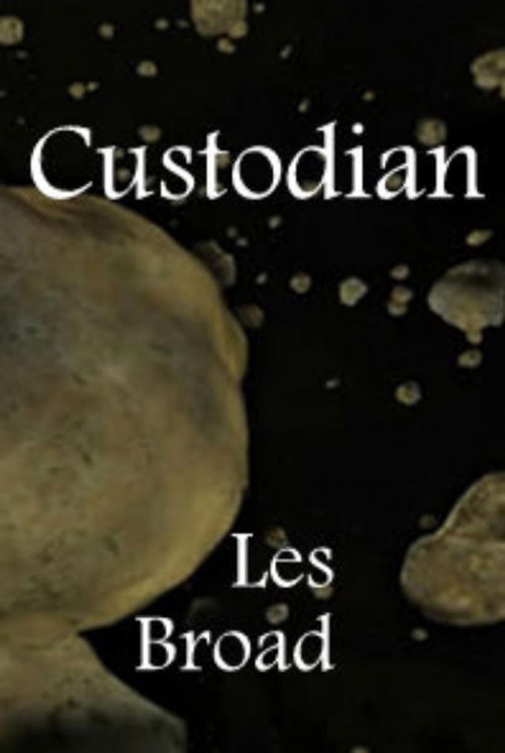 Big bigCover of Custodian