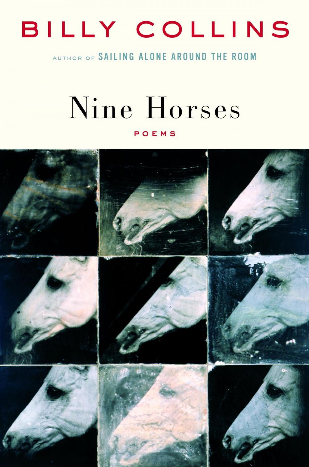 Big bigCover of Nine Horses