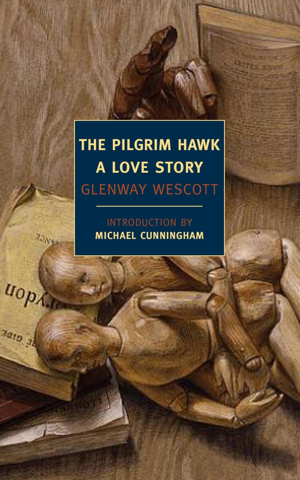 Big bigCover of The Pilgrim Hawk