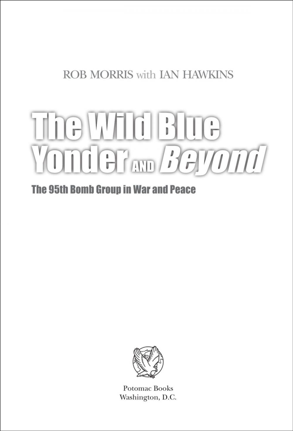 Big bigCover of The Wild Blue Yonder and Beyond: The 95th Bomb Group in War and Peace