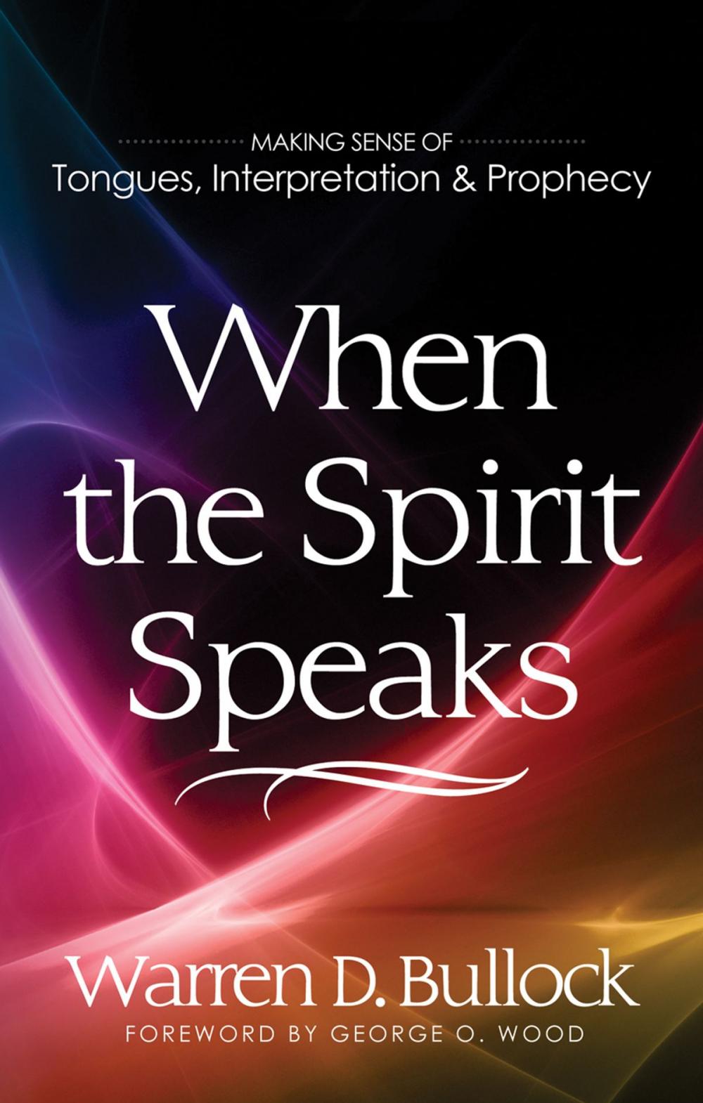 Big bigCover of When the Spirit Speaks