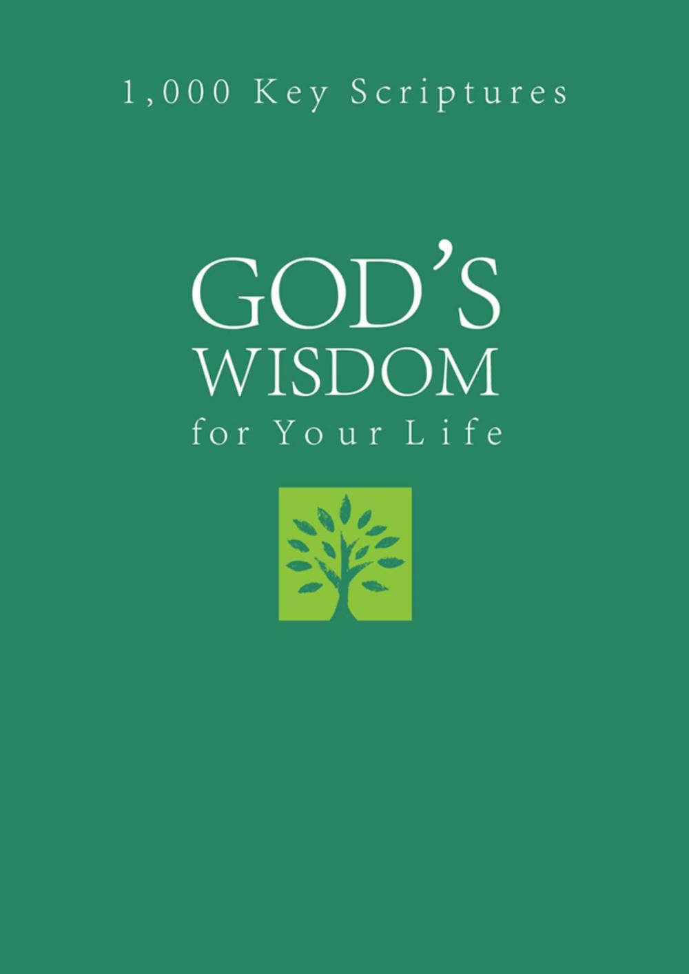 Big bigCover of God's Wisdom for Your Life