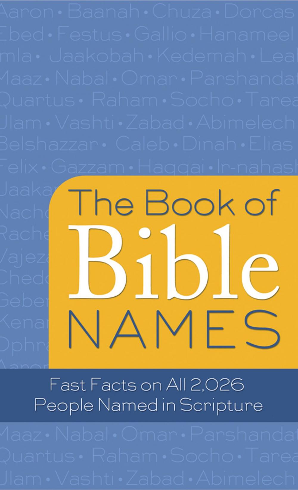 Big bigCover of The Book of Bible Names