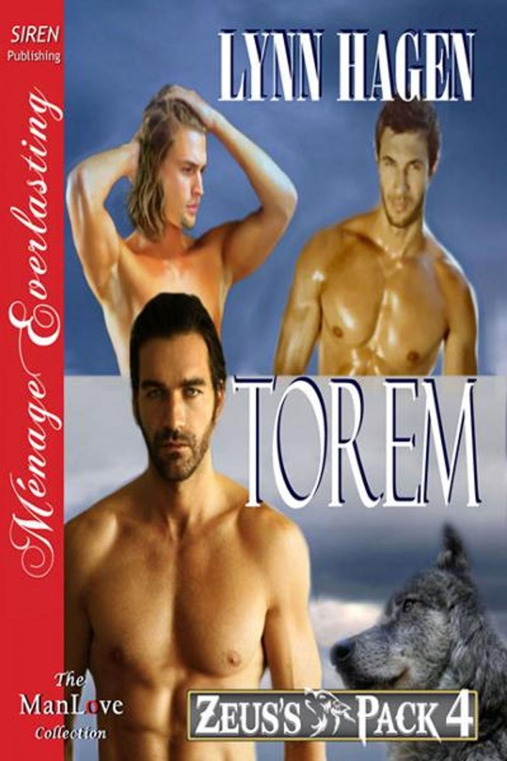 Big bigCover of Torem