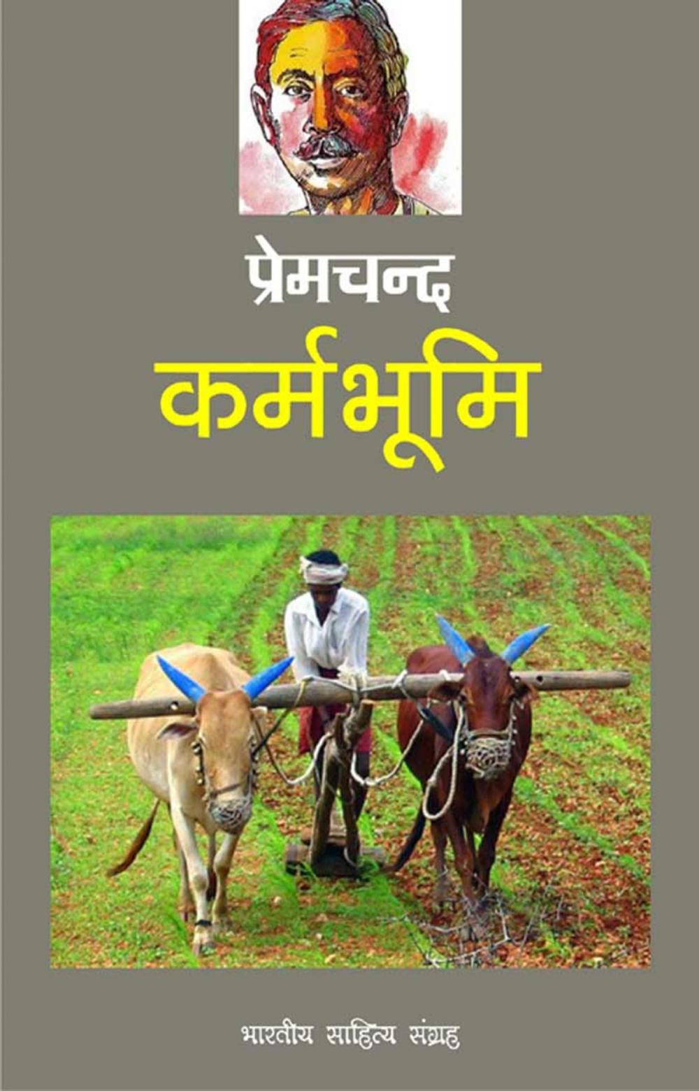 Big bigCover of Karmbhoomi (Hindi Novel)