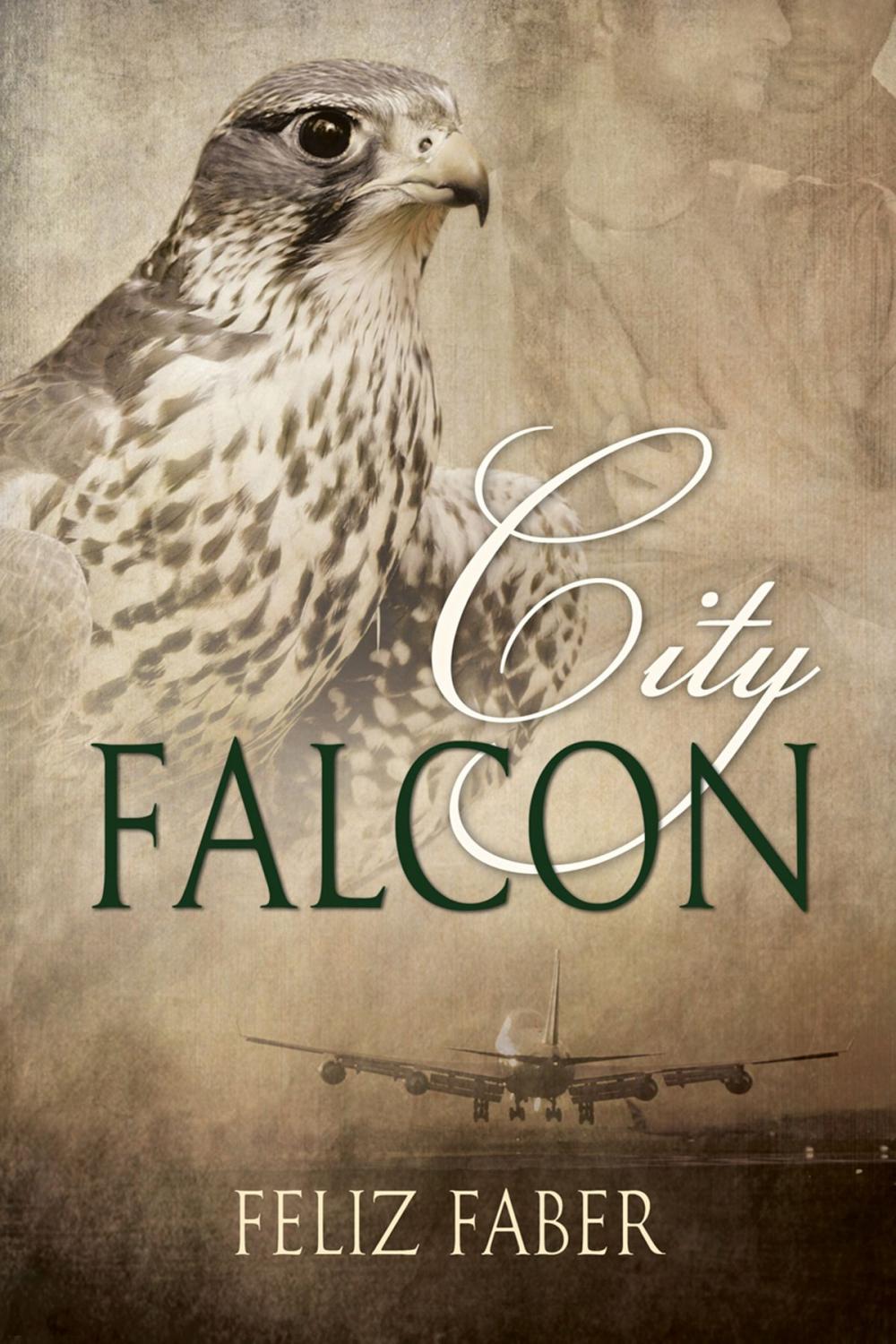 Big bigCover of City Falcon