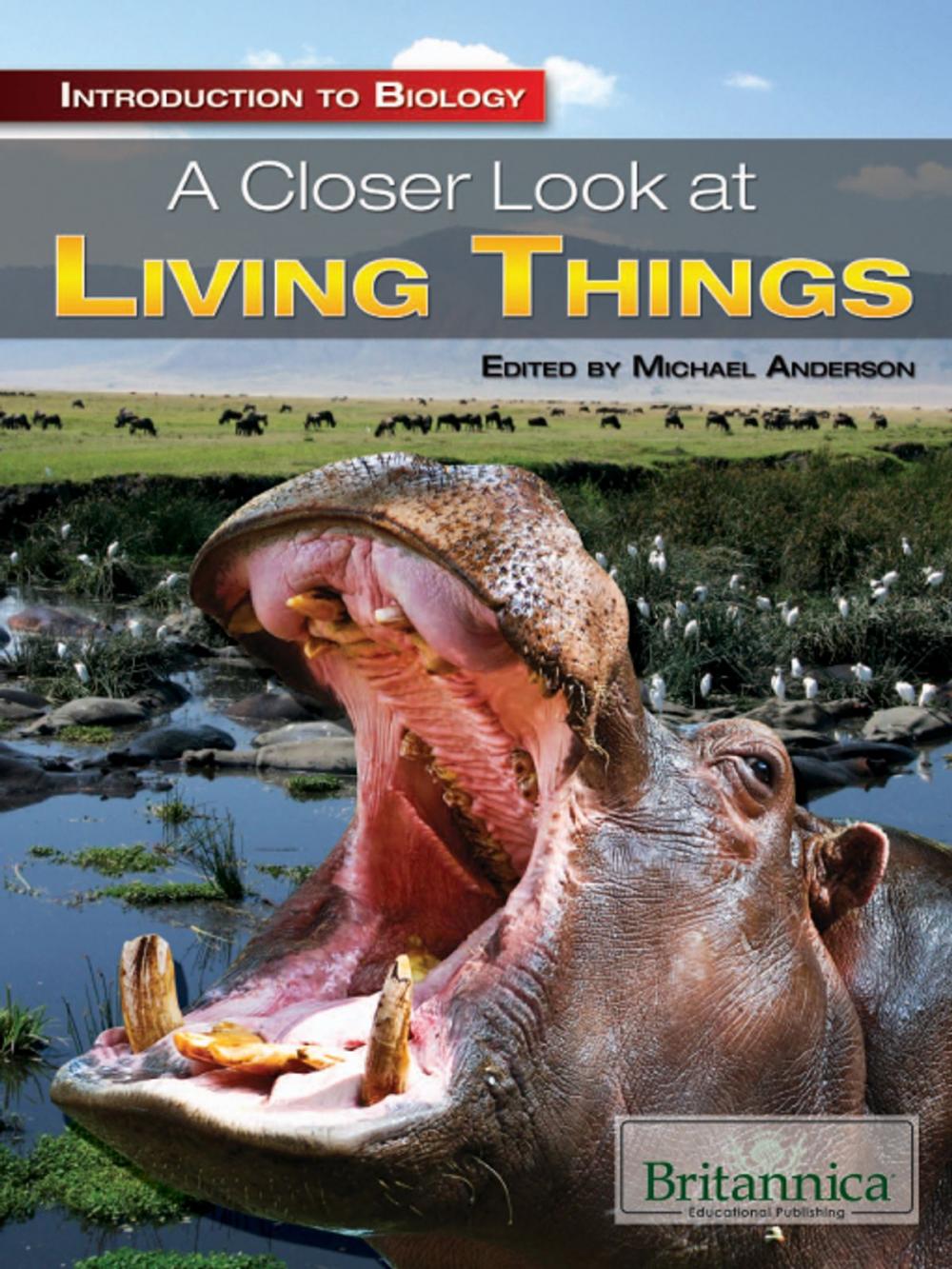 Big bigCover of A Closer Look at Living Things