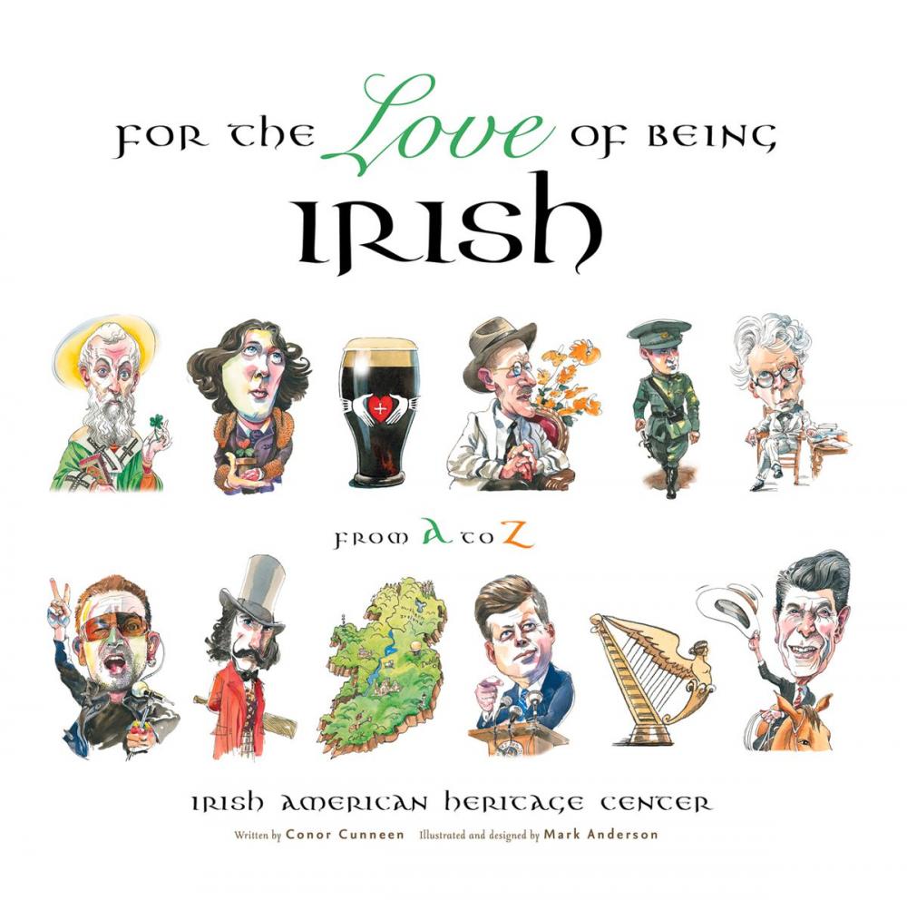 Big bigCover of For the Love of Being Irish