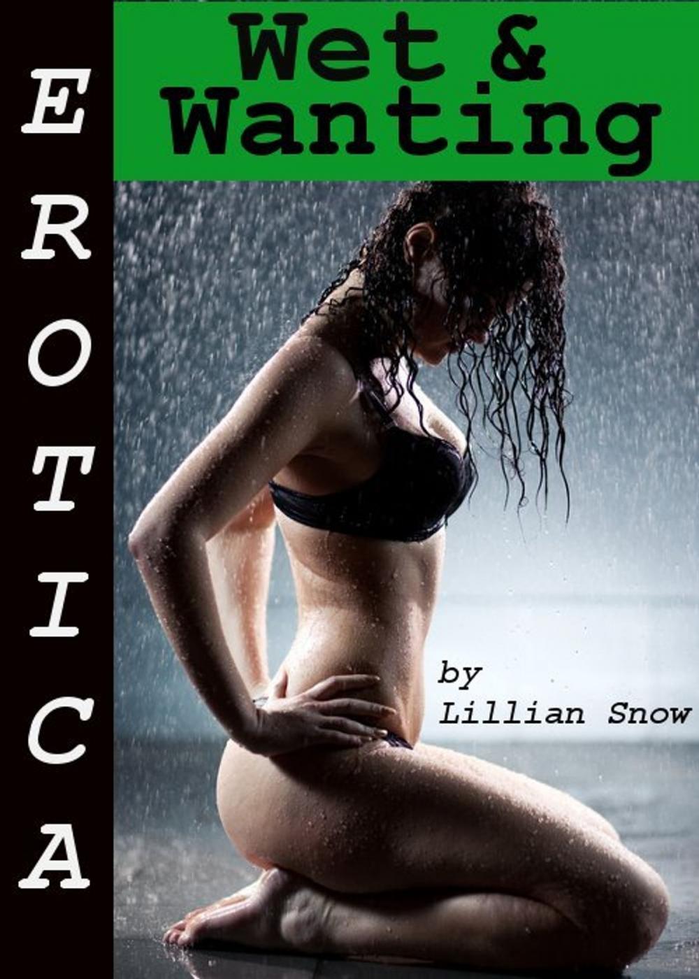 Big bigCover of Erotica: Wet & Wanting, Tales of Sex