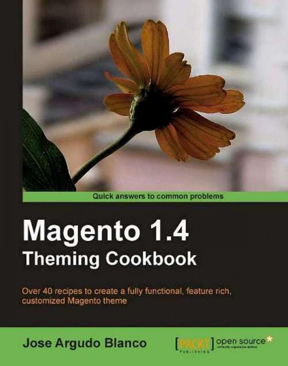 Big bigCover of Magento 1.4 Theming Cookbook