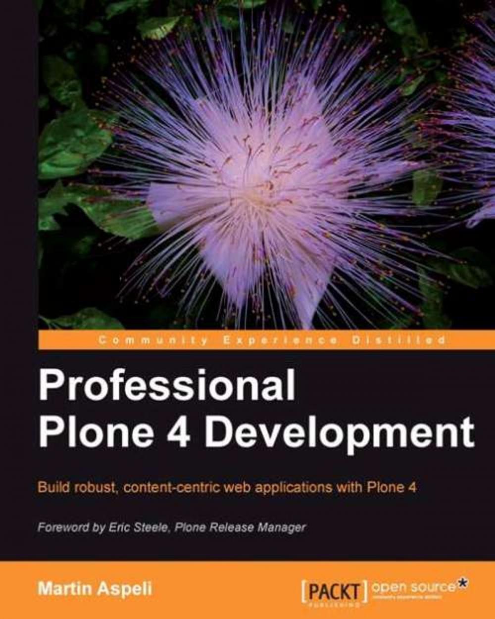 Big bigCover of Professional Plone 4 Development