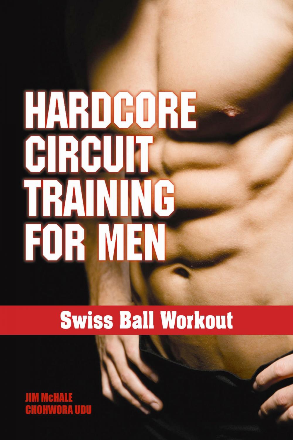 Big bigCover of Swiss Ball Workout