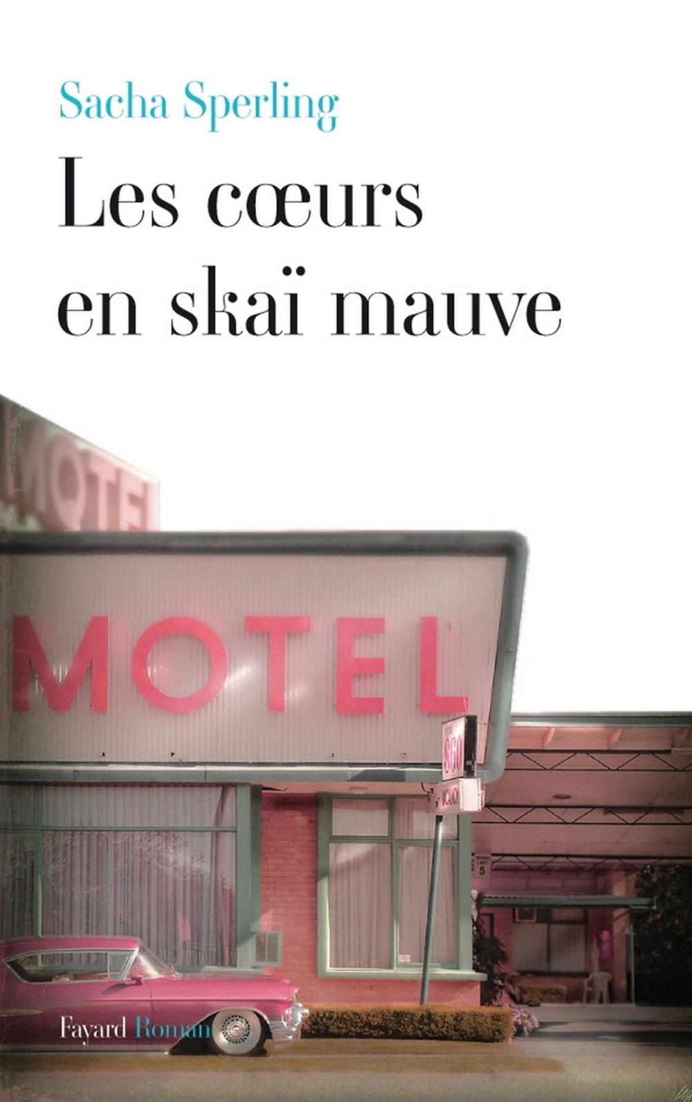 Big bigCover of Les coeurs en skaï mauve