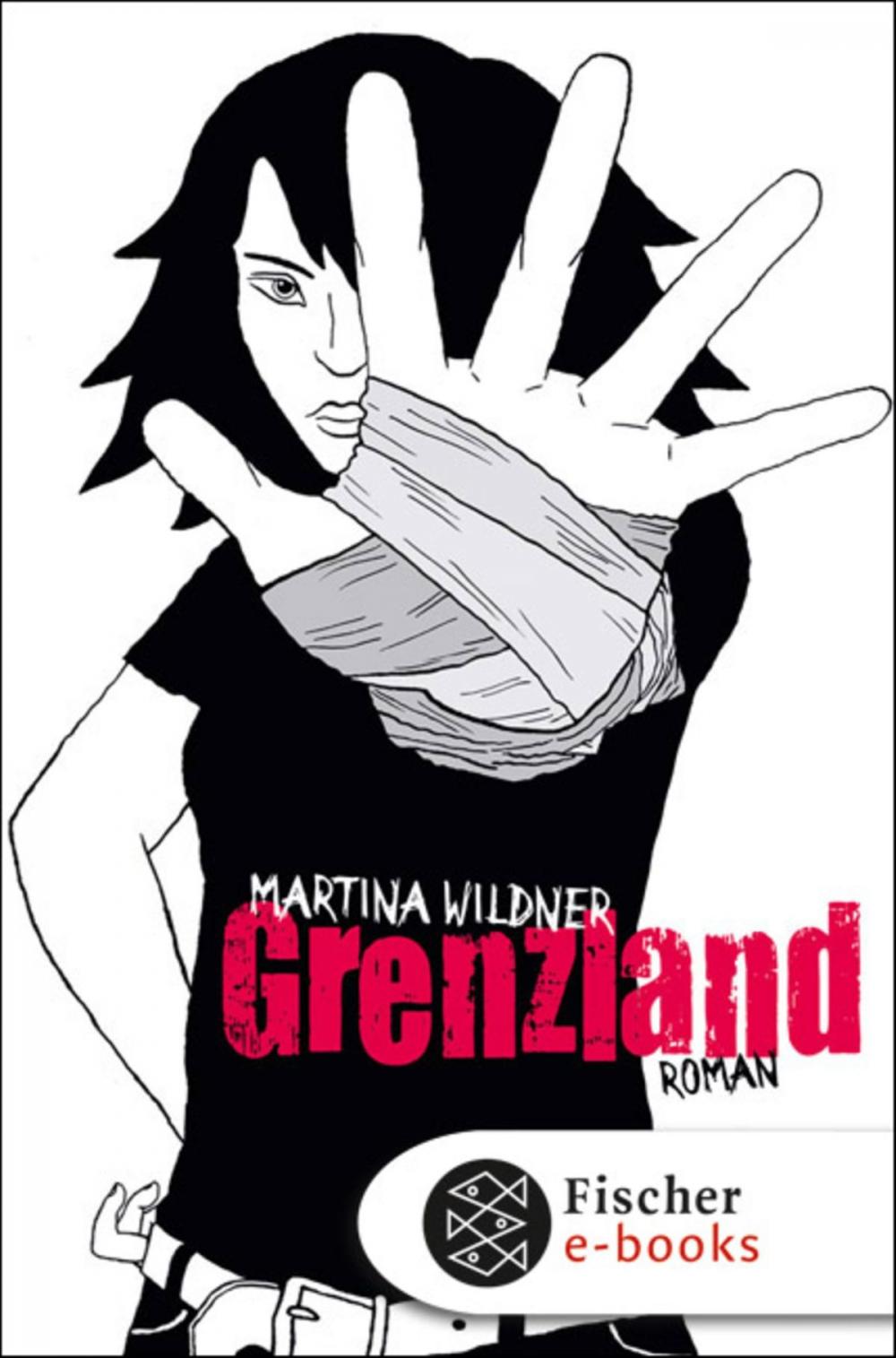 Big bigCover of Grenzland