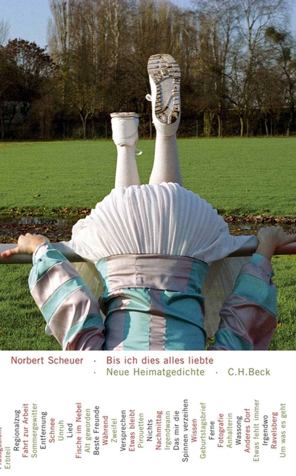 Big bigCover of Bis ich dies alles liebte