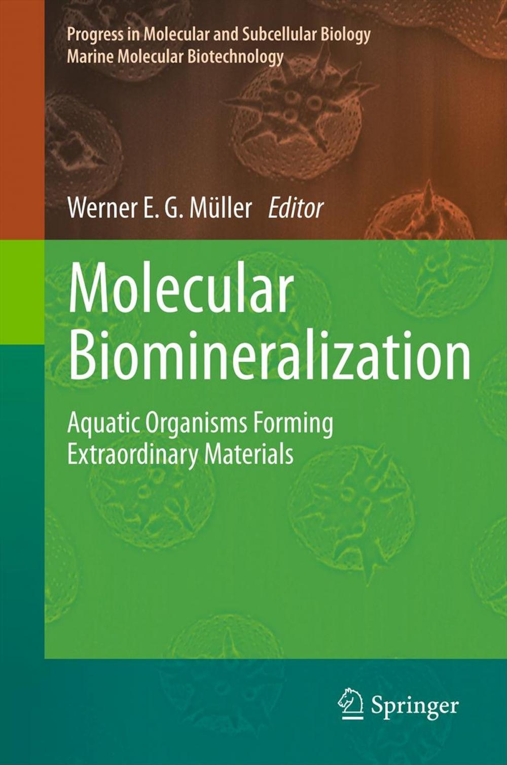 Big bigCover of Molecular Biomineralization