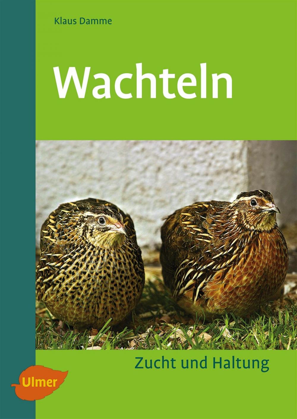 Big bigCover of Wachteln