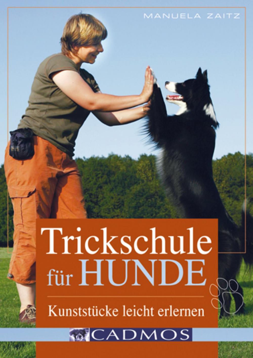 Big bigCover of Trickschule für Hunde