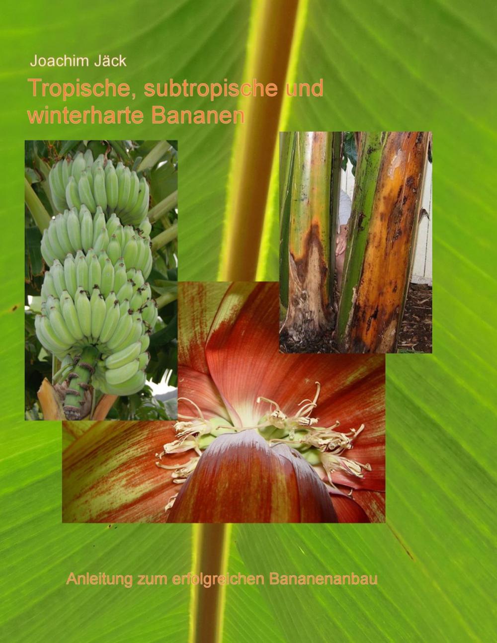 Big bigCover of Tropische, subtropische und winterharte Bananen