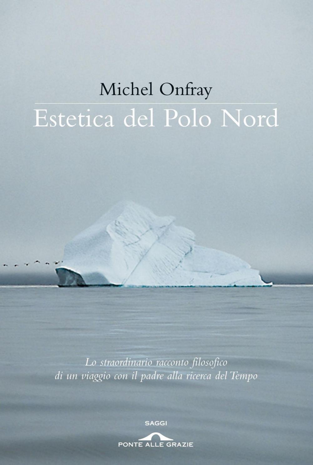 Big bigCover of Estetica del Polo Nord