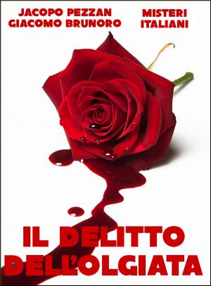 Cover of the book Il delitto dell'Olgiata by Manfred Böckl