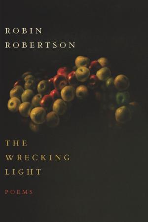 bigCover of the book The Wrecking Light by 