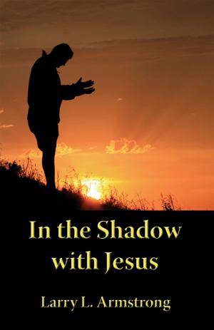 Cover of the book In the Shadow with Jesus: A Look at the High Priestly Prayer of John 17 by 정영진