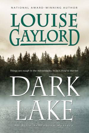 Cover of the book Dark Lake, An Allie Armington Mystery by Rebecca Fett